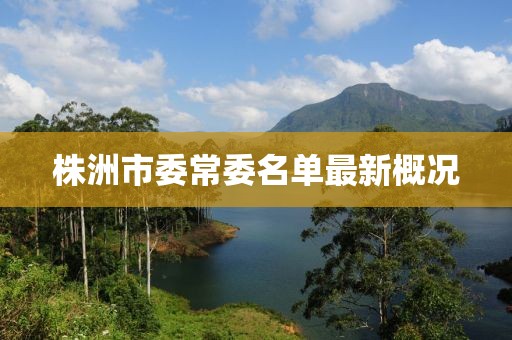 株洲市委常委名單最新概況
