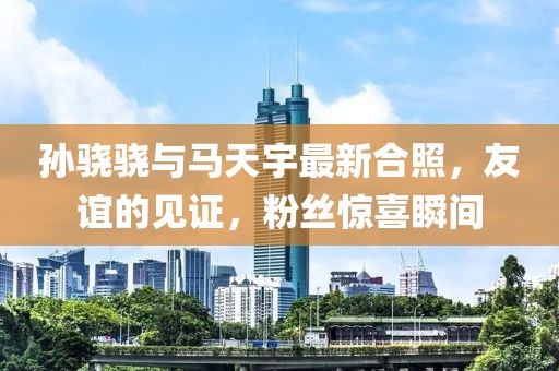 孫驍驍與馬天宇最新合照，友誼的見證，粉絲驚喜瞬間
