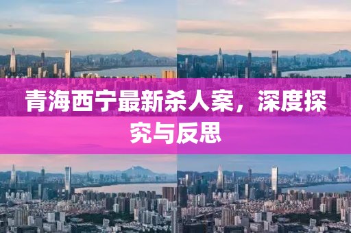 青海西寧最新殺人案，深度探究與反思