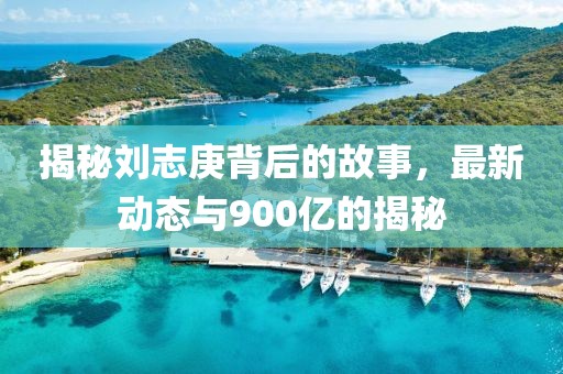 揭秘劉志庚背后的故事，最新動態(tài)與900億的揭秘