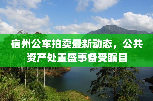 宿州公車拍賣最新動態(tài)，公共資產(chǎn)處置盛事備受矚目