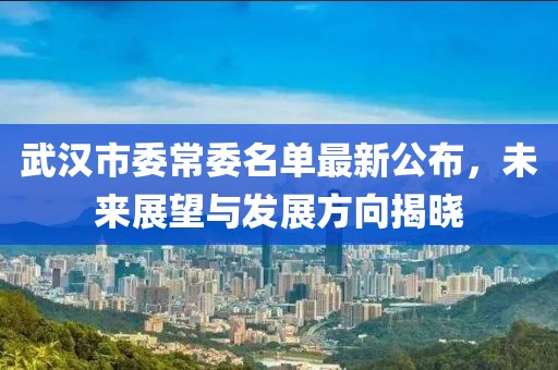 武漢市委常委名單最新公布，未來展望與發(fā)展方向揭曉