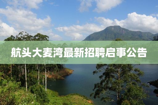 航頭大麥灣最新招聘啟事公告