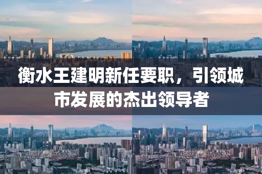 衡水王建明新任要職，引領(lǐng)城市發(fā)展的杰出領(lǐng)導(dǎo)者