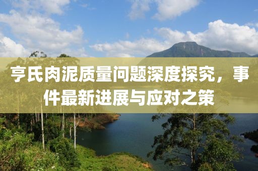 亨氏肉泥質(zhì)量問題深度探究，事件最新進展與應(yīng)對之策