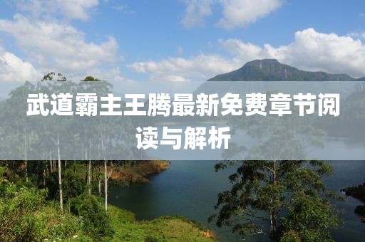 武道霸主王騰最新免費(fèi)章節(jié)閱讀與解析