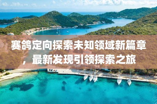 賽鴿定向探索未知領(lǐng)域新篇章，最新發(fā)現(xiàn)引領(lǐng)探索之旅