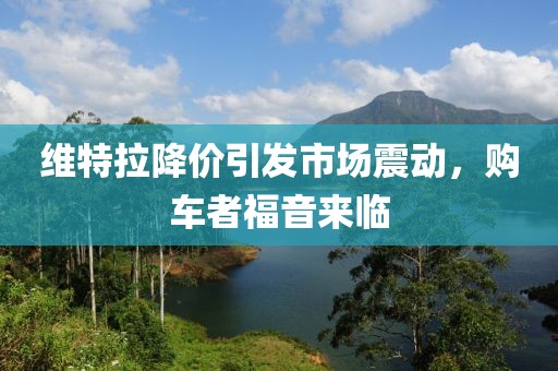 維特拉降價(jià)引發(fā)市場(chǎng)震動(dòng)，購(gòu)車者福音來(lái)臨