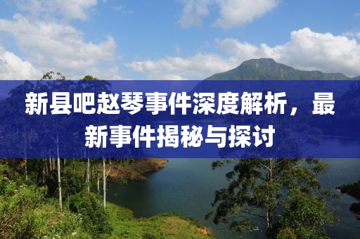 新縣吧趙琴事件深度解析，最新事件揭秘與探討