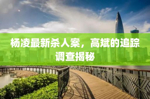楊凌最新殺人案，高斌的追蹤調(diào)查揭秘
