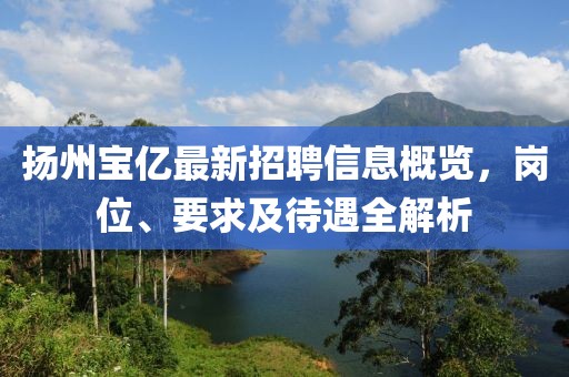 揚州寶億最新招聘信息概覽，崗位、要求及待遇全解析