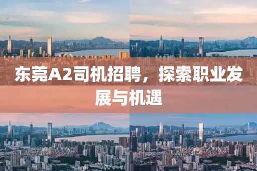 東莞A2司機招聘，探索職業(yè)發(fā)展與機遇