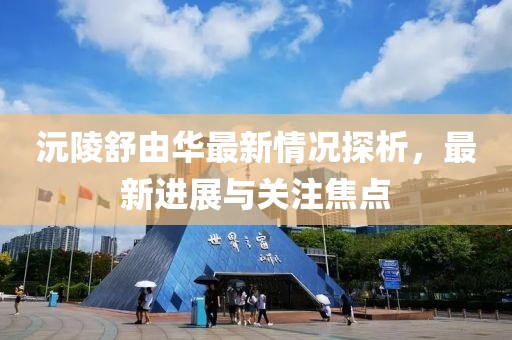 沅陵舒由華最新情況探析，最新進(jìn)展與關(guān)注焦點(diǎn)