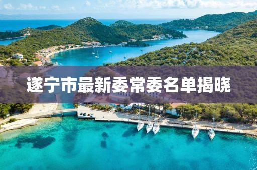 遂寧市最新委常委名單揭曉