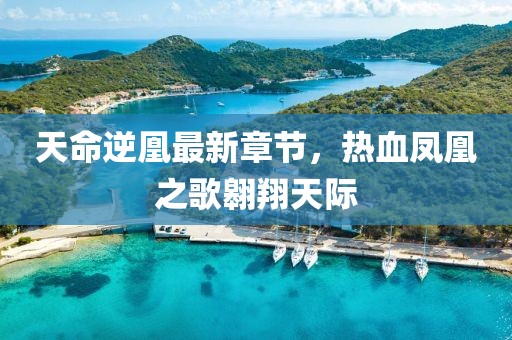 天命逆凰最新章節(jié)，熱血鳳凰之歌翱翔天際