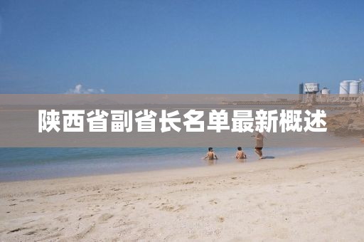 陜西省副省長名單最新概述
