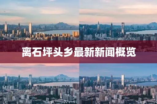 離石坪頭鄉(xiāng)最新新聞概覽