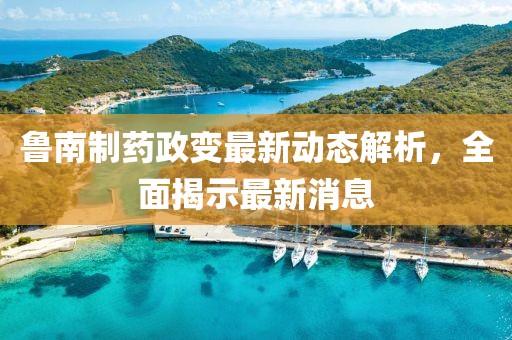 魯南制藥政變最新動態(tài)解析，全面揭示最新消息
