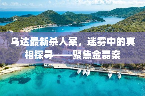 烏達(dá)最新殺人案，迷霧中的真相探尋——聚焦金磊案