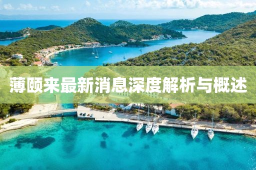 薄頤來最新消息深度解析與概述