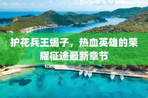 護花兵王蝎子，熱血英雄的榮耀征途最新章節(jié)