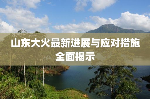 山東大火最新進(jìn)展與應(yīng)對(duì)措施全面揭示