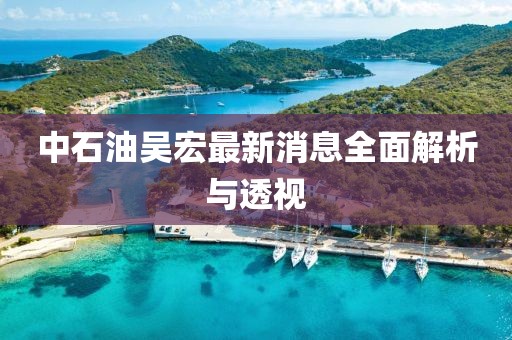 中石油吳宏最新消息全面解析與透視
