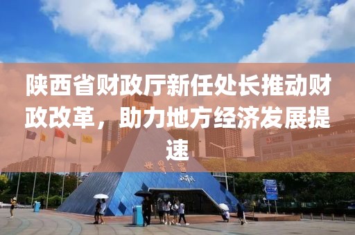 陜西省財(cái)政廳新任處長推動(dòng)財(cái)政改革，助力地方經(jīng)濟(jì)發(fā)展提速