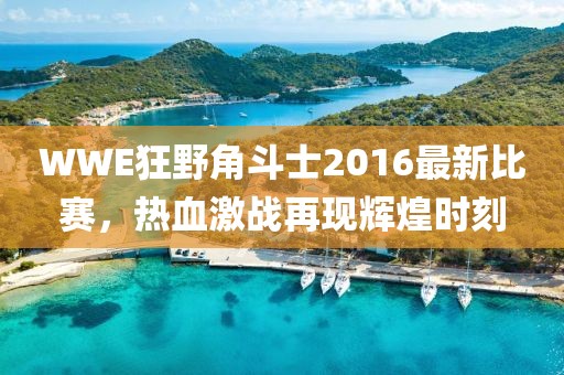 WWE狂野角斗士2016最新比賽，熱血激戰(zhàn)再現(xiàn)輝煌時(shí)刻