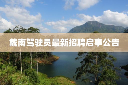 戴南駕駛員最新招聘啟事公告