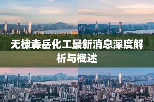 無棣森岳化工最新消息深度解析與概述