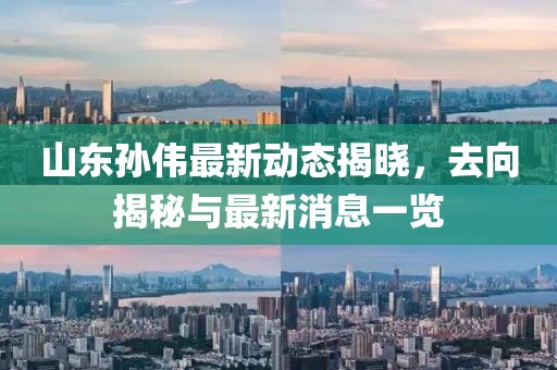 山東孫偉最新動態(tài)揭曉，去向揭秘與最新消息一覽