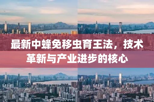 最新中蜂免移蟲(chóng)育王法，技術(shù)革新與產(chǎn)業(yè)進(jìn)步的核心