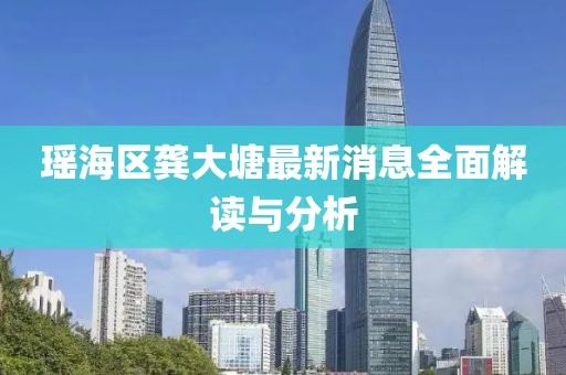 瑤海區(qū)龔大塘最新消息全面解讀與分析