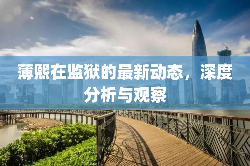 薄熙在監(jiān)獄的最新動態(tài)，深度分析與觀察