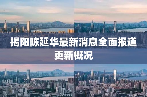 揭陽陳延華最新消息全面報道更新概況