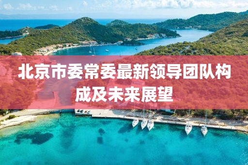 北京市委常委最新領(lǐng)導(dǎo)團(tuán)隊(duì)構(gòu)成及未來展望