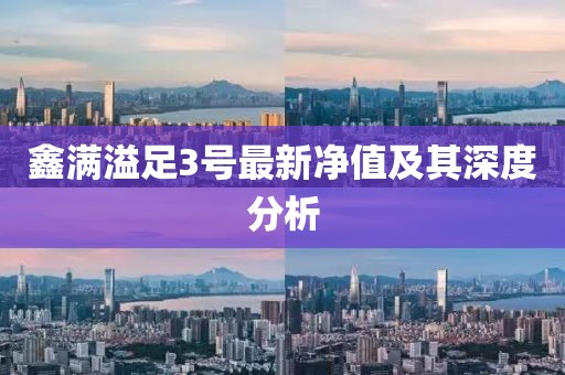 鑫滿溢足3號(hào)最新凈值及其深度分析