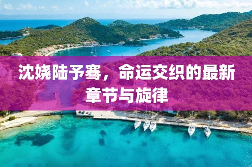沈嬈陸予騫，命運交織的最新章節(jié)與旋律