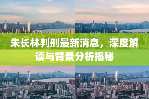 朱長林判刑最新消息，深度解讀與背景分析揭秘