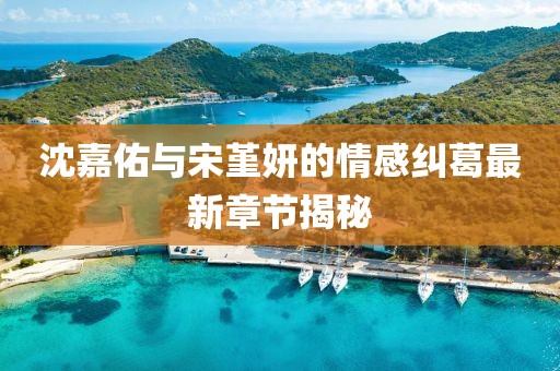 沈嘉佑與宋堇妍的情感糾葛最新章節(jié)揭秘