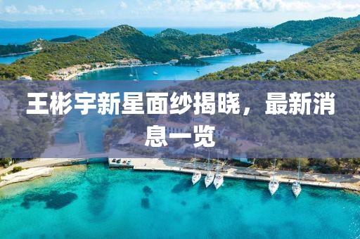 王彬宇新星面紗揭曉，最新消息一覽