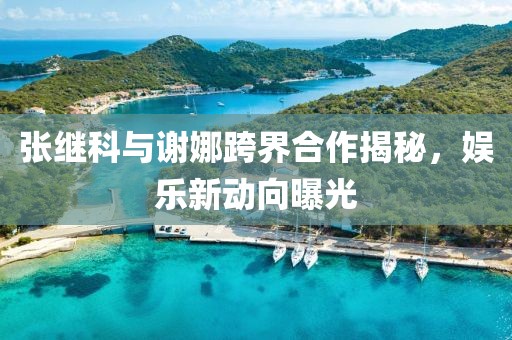 張繼科與謝娜跨界合作揭秘，娛樂新動向曝光