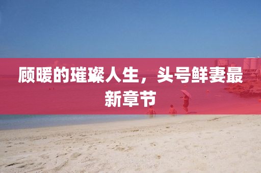 顧暖的璀璨人生，頭號(hào)鮮妻最新章節(jié)