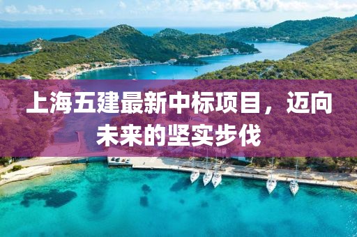 上海五建最新中標(biāo)項(xiàng)目，邁向未來的堅(jiān)實(shí)步伐