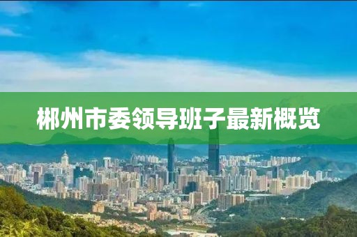 郴州市委領導班子最新概覽