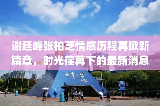 謝廷峰張柏芝情感歷程再掀新篇章，時(shí)光荏苒下的最新消息