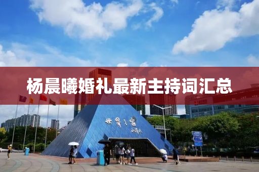 楊晨曦婚禮最新主持詞匯總