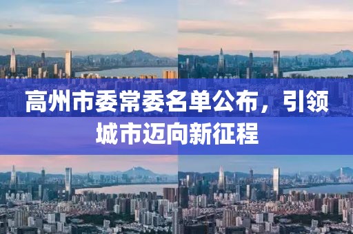 高州市委常委名單公布，引領(lǐng)城市邁向新征程