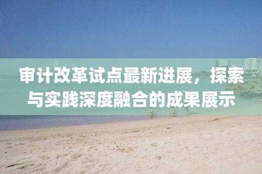 審計改革試點最新進展，探索與實踐深度融合的成果展示